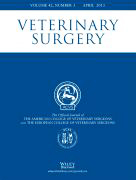 Veterinary Surgery Cover large