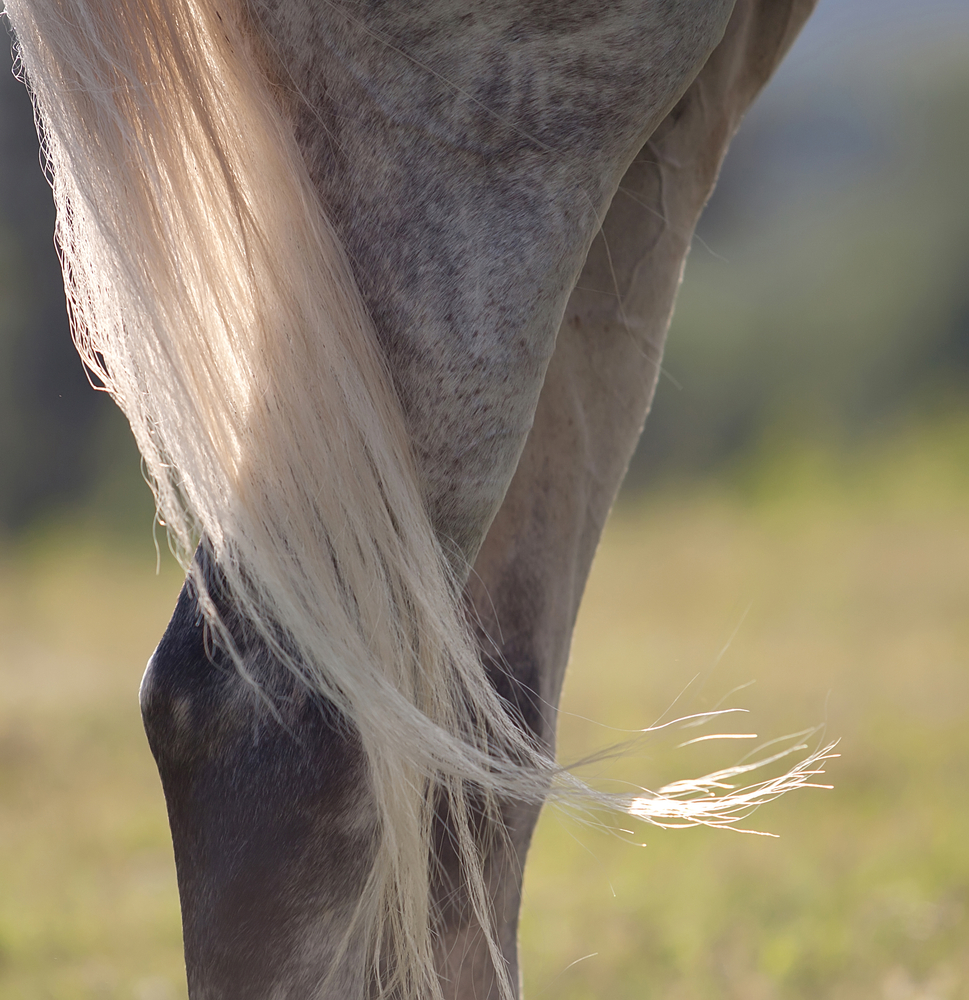 shutterstock 105661328